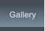 Gallery Gallery