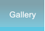 Gallery Gallery